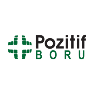Pozitif Boru